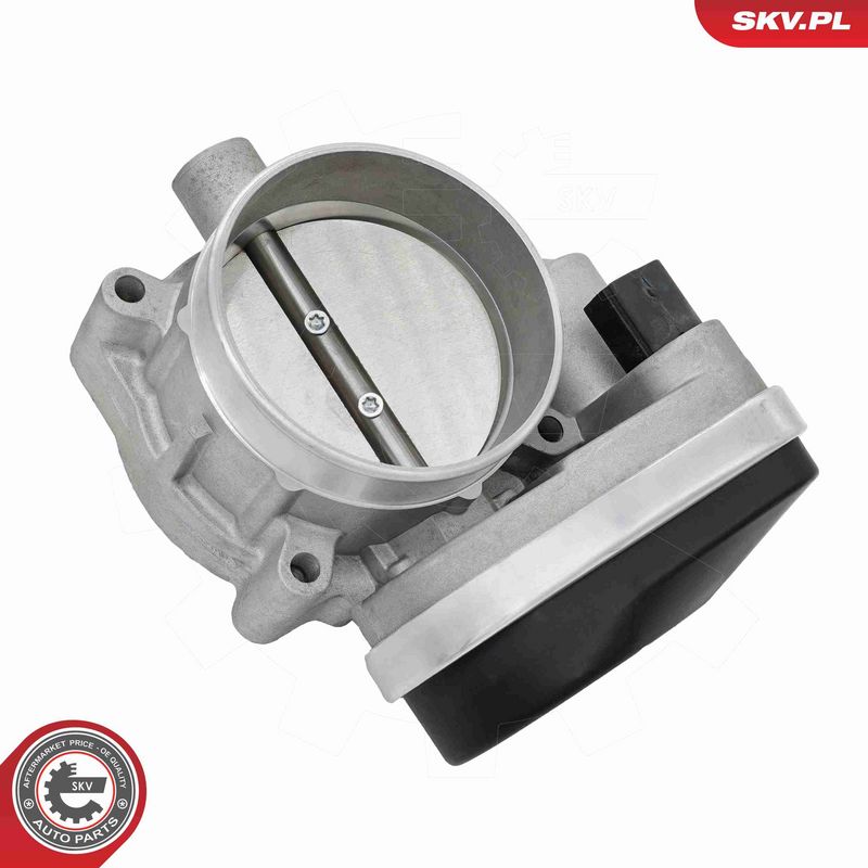 ESEN SKV 12SKV168 Throttle Body