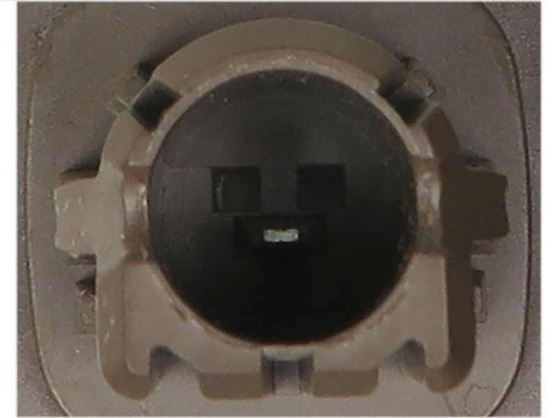 264681.JPG