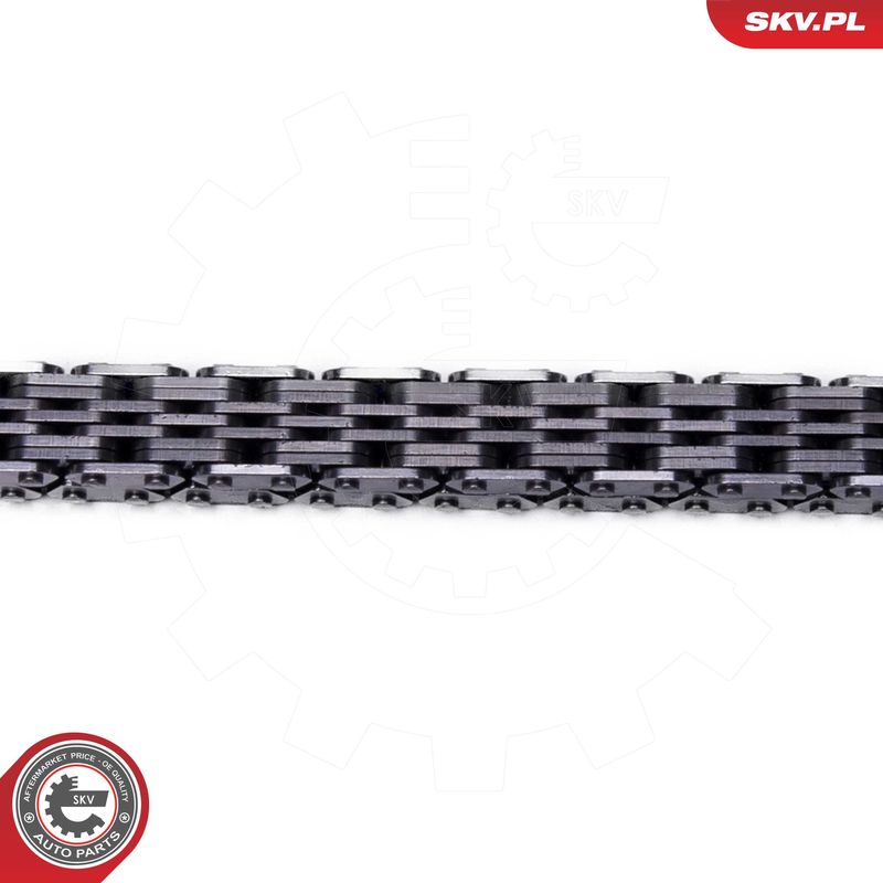 ESEN SKV 21SKV259 Timing Chain Kit