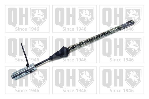 QH_BC3386.JPG