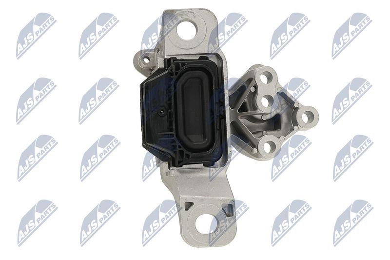 Paigutus, Mootor, NTY ZPS-FR-069