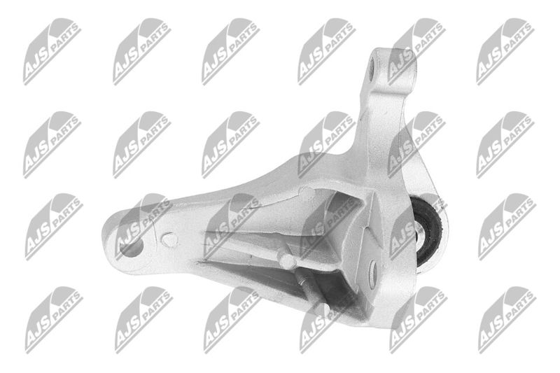 Paigutus, Mootor, NTY ZPS-FR-049