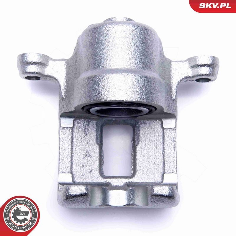 ESEN SKV 55SKV484 Brake Caliper