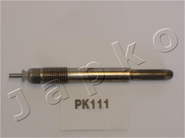 PK111_1.JPG