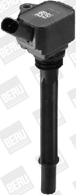 BorgWarner (BERU) ZS096 Ignition Coil