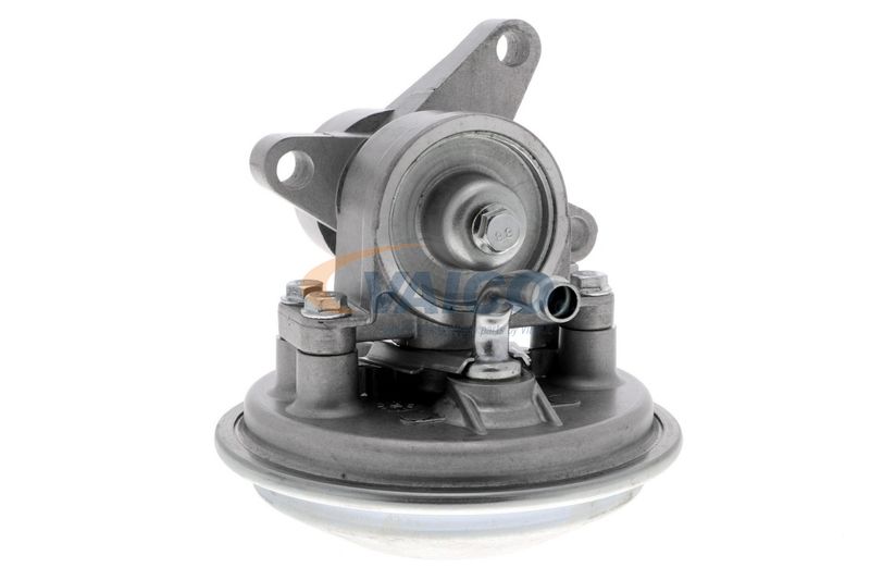 VAICO V25-1908 Mounting, engine