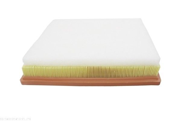 AUTOMEGA 180031810 Air Filter