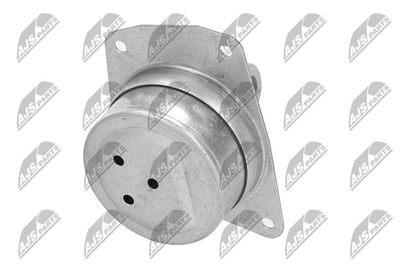 Paigutus, Mootor, NTY ZPS-PL-025