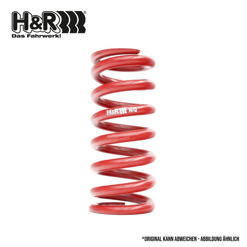 H&R Spezialfedern 23003HA2