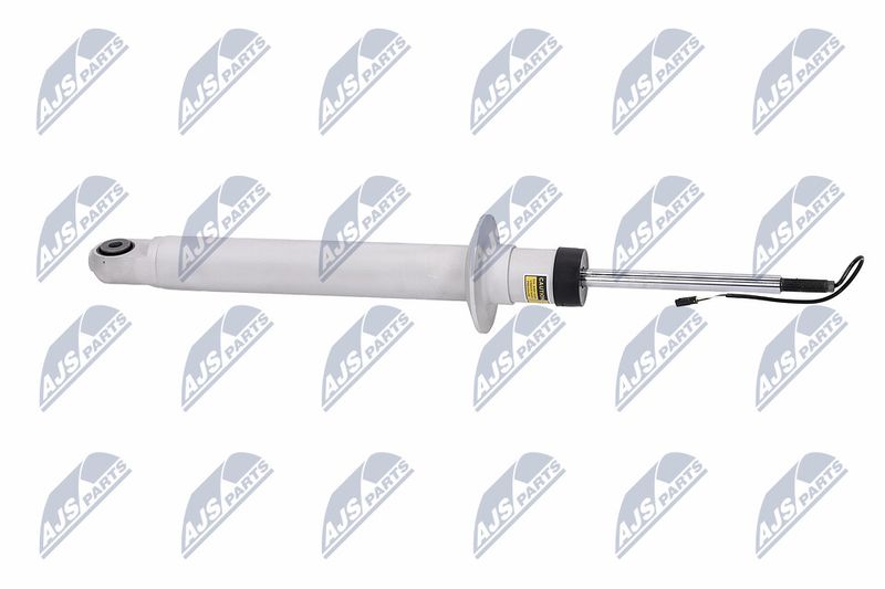 Amort, NTY A-MA-001