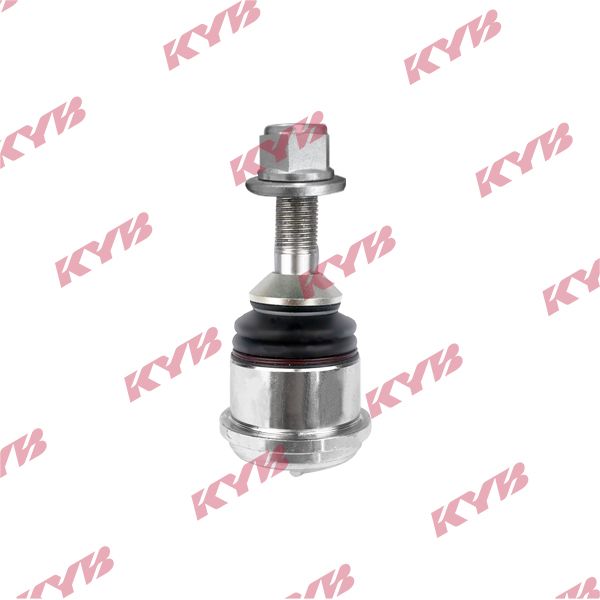 KYB-KBJ4446.JPG