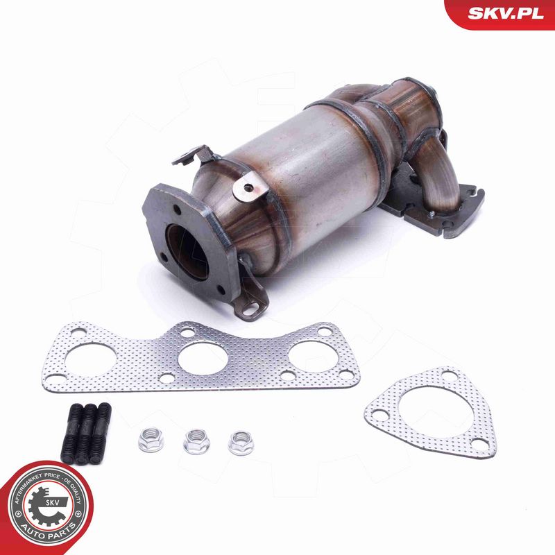 ESEN SKV 62SKV010 Katalizatorius