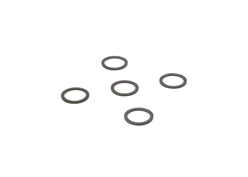 Garnitura 2 440 109 005 BOSCH