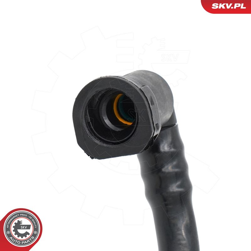 Kütusetorustik, ESEN SKV 87SKV018