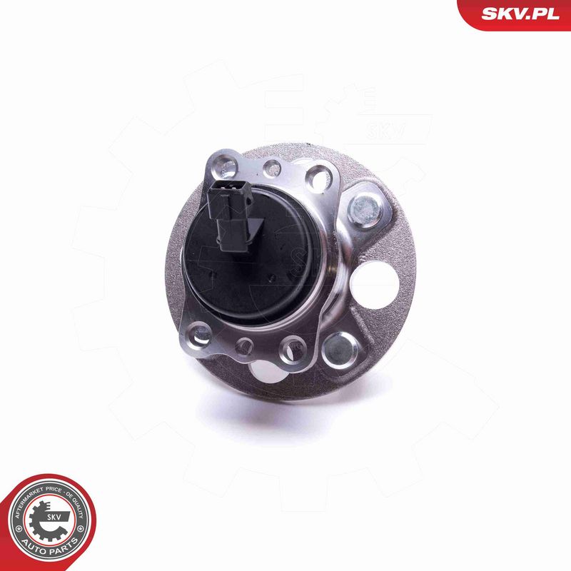 ESEN SKV 29SKV556 Wheel Bearing Kit