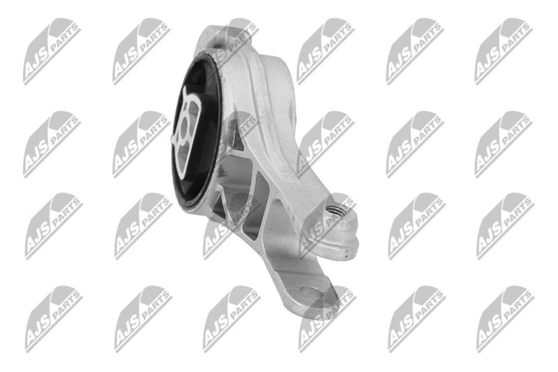 Paigutus, Mootor, NTY ZPS-PL-080