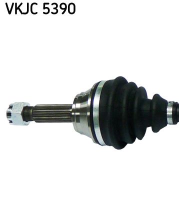 VKJC 5390_2.JPG