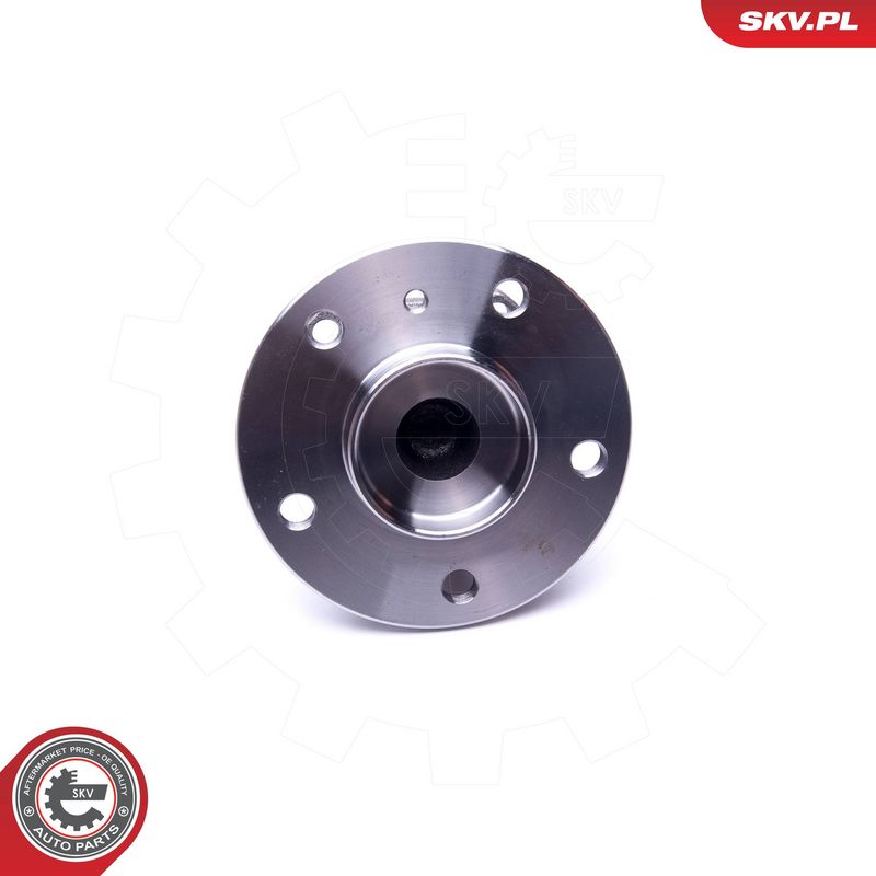 Rattalaagrikomplekt, ESEN SKV 29SKV295