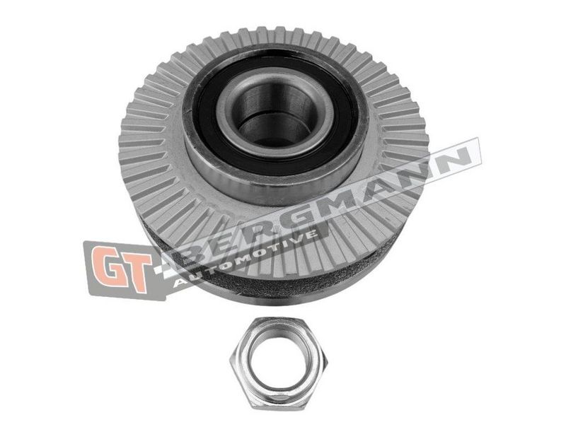 GT-BERGMANN Automotive Rato guolio komplektas