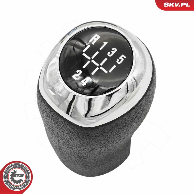 Käigukanginupp, ESEN SKV...