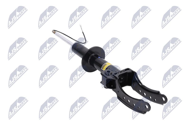 Amort, NTY A-PS-015