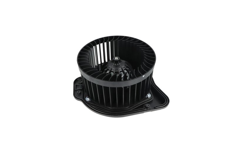 Salongipuhur, NRF 34136