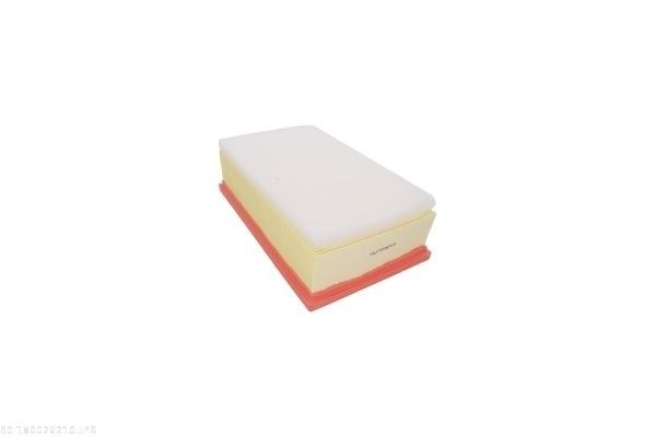 AUTOMEGA 180026210 Air Filter