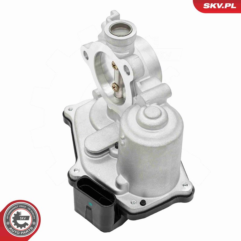 ESEN SKV 14SKV299 EGR Valve