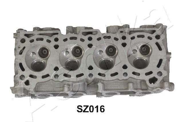 SZ016_6.JPG