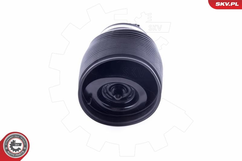 ESEN SKV 58SKV010 Air Spring, suspension