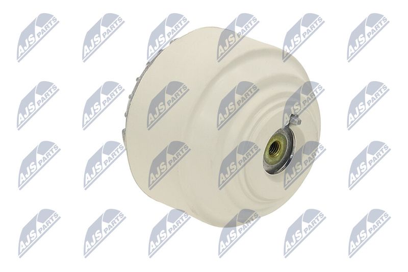 Paigutus, Mootor, NTY ZPS-ME-102