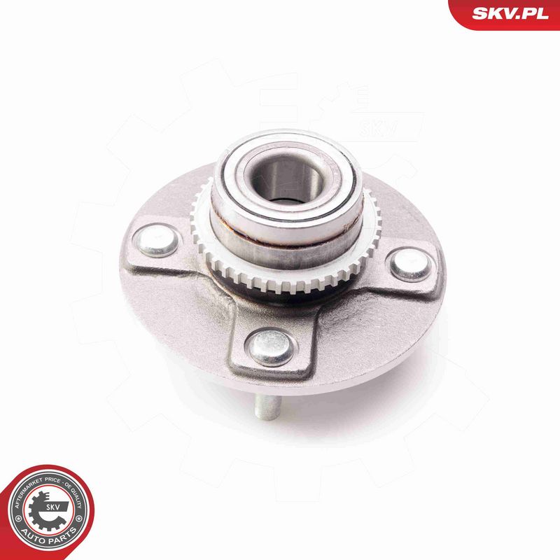 ESEN SKV 29SKV170 Wheel Bearing Kit