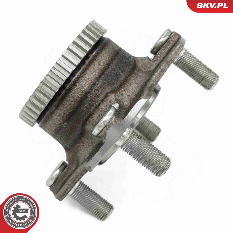 ESEN SKV 29SKV678 Wheel Bearing Kit