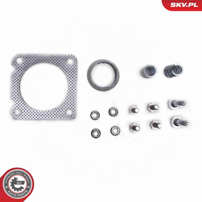 ESEN SKV 62SKV015 Catalytic Converter