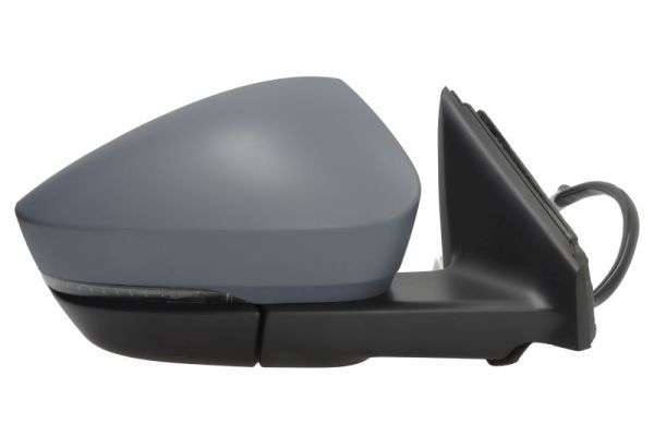 BLIC 5402-43-1926321P Exterior Mirror