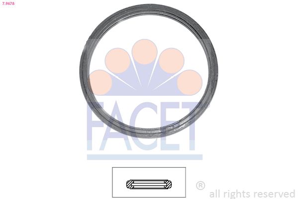 7.9678-FA.JPG