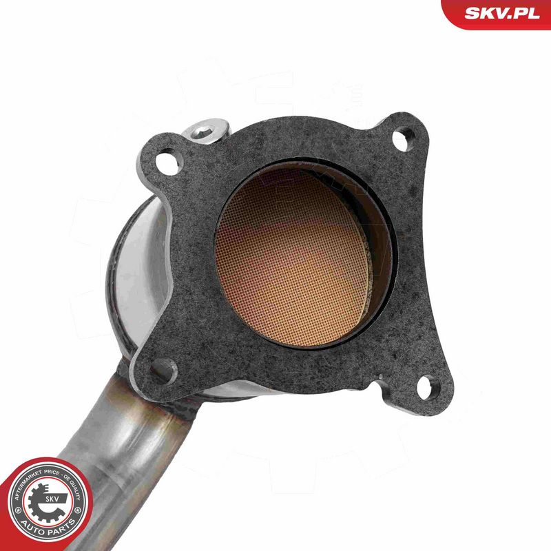 Katalüsaator, ESEN SKV 62SKV169