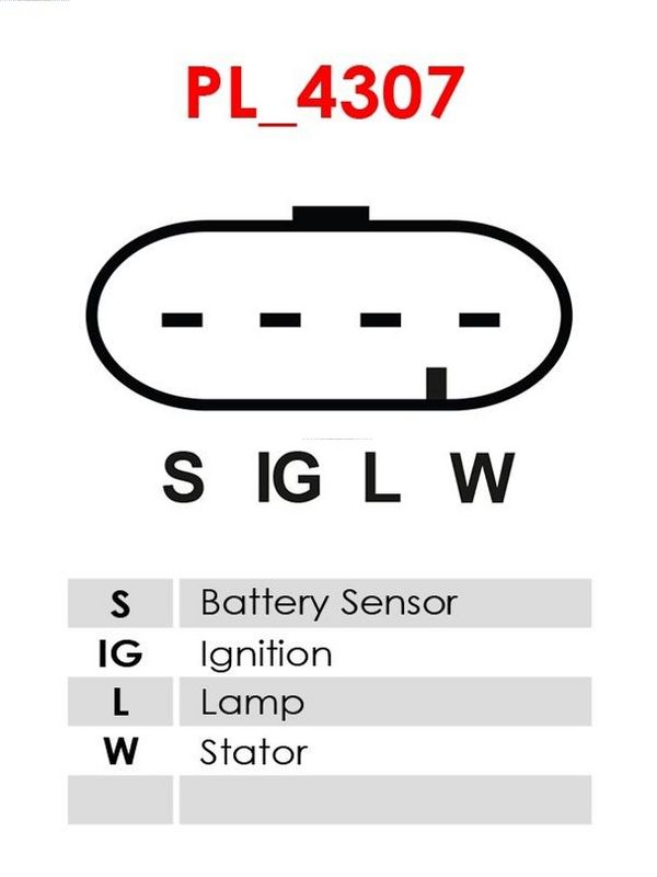 392710.JPG