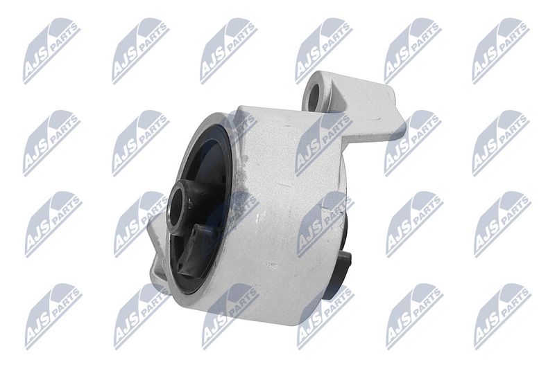 Paigutus, Mootor, NTY ZPS-PL-007