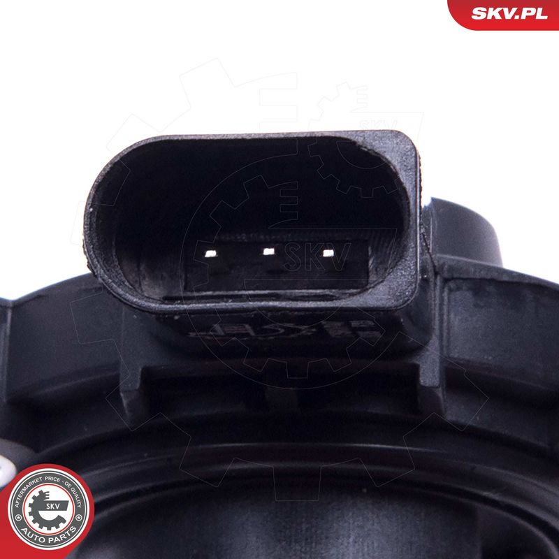 Andur, Mootoriõlitase, ESEN SKV 17SKV747