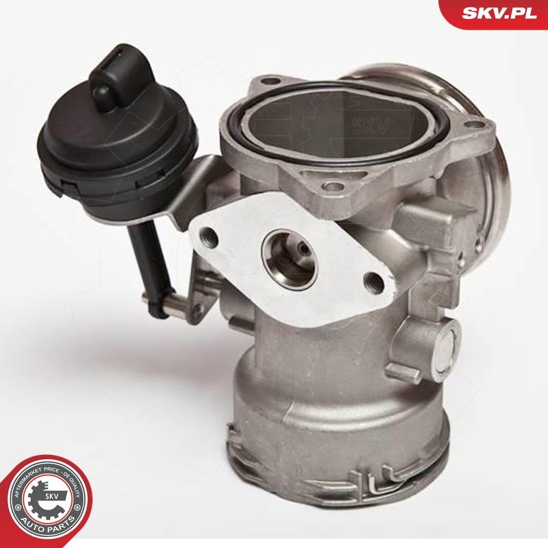 EGR-klapp, ESEN SKV 14SKV025