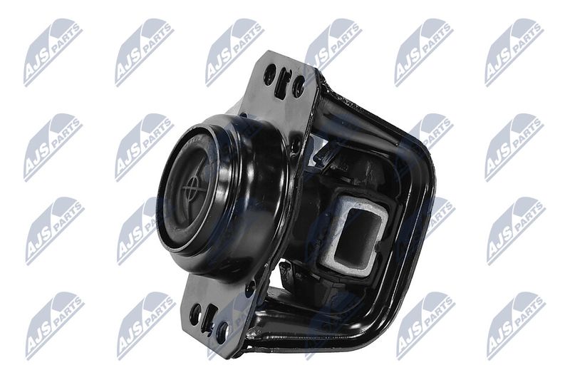 Paigutus, Mootor, NTY ZPS-PE-012