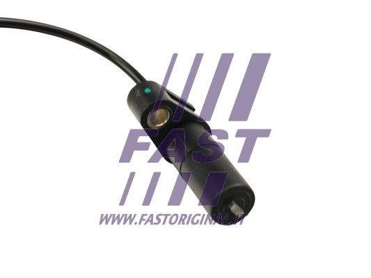 FT80556_2_1.JPG