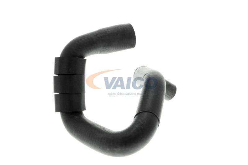 VAICO V10-4664 Talosa Radiator Hose