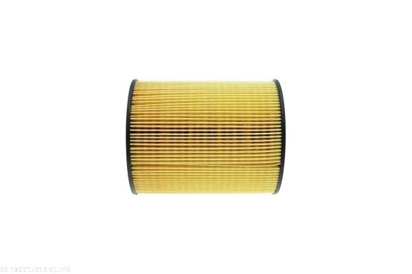 AUTOMEGA 180015010 Fuel Filter