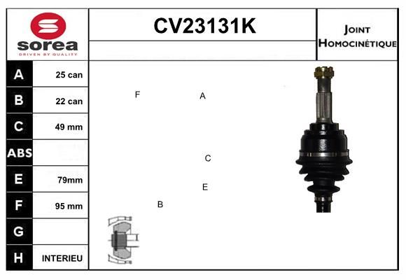 Set articulatie, planetara CV23131K EAI