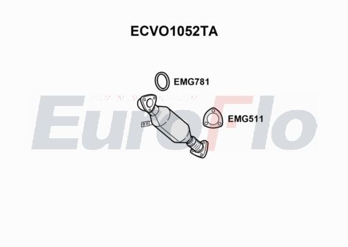ecvo1052ta.JPG