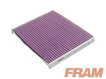 FRAM CFP10365