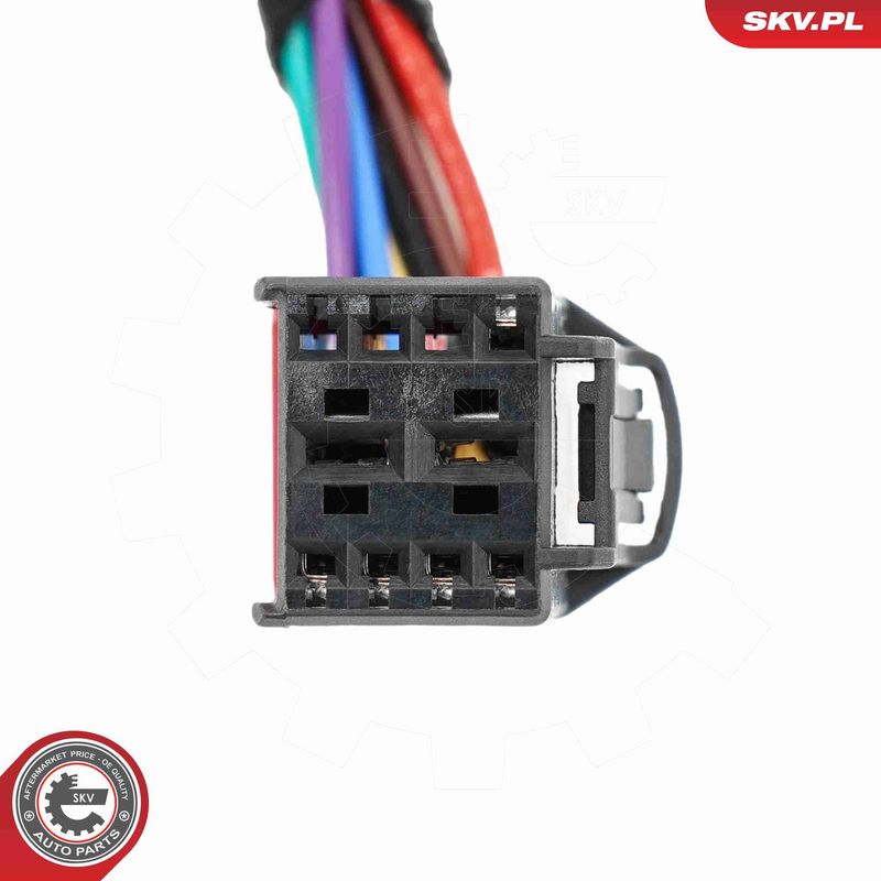 ESEN SKV 52SKV281 Electric Motor, tailgate