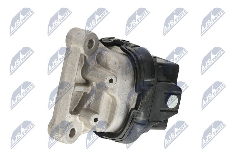 Paigutus, Mootor, NTY ZPS-CH-019